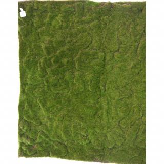 Umělá živá zelená stěna - umělý MECH, 100 x 100cm