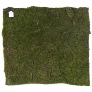 Umělá živá zelená stěna - umělý MECH tmavý, 50 x 50cm
