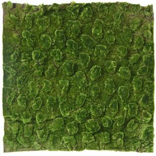 Umělá živá zelená stěna - umělý MECH TOP, 100 x 100cm