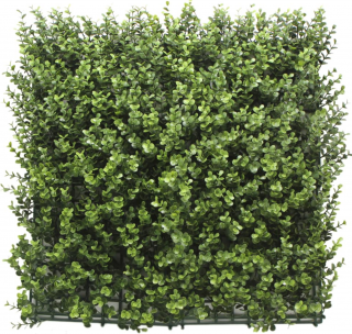 Umělý živý plot BUXUS DONKER PREMIUM, 4ks dílce 50x50cm, plocha 1m2