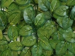 Umělý živý plot FITTONIA SOFT, sada dílců pro 2x2,5m
