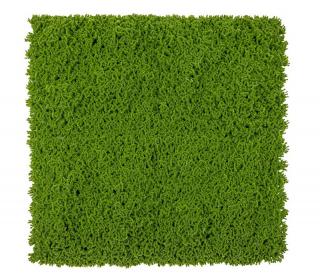Umělý živý plot MECH PE PREMIUM, dílec 50x50cm