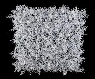 Umělý živý plot MRÁZ, 4ks dílce 50x50cm, plocha 1m2