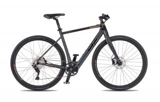 4EVER ENGRAVE FLAT - titan/metal gold  2023/24 Velikost rámu: L, Průměr kol: 28" (700C), Výška rámu: (55 cm)