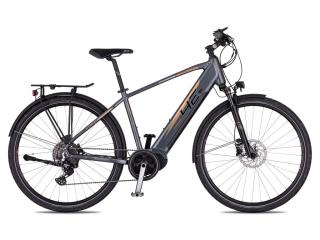 4EVER STARDUST SPORT (šedá / zlatá) 2024 Velikost rámu: L, Průměr kol: 28" (700C), Výška rámu: (19" = 48 cm)