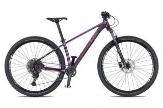 4EVER YOGA PURPLE 29 Lady (purple / hologram) 2024 Velikost rámu: S, Průměr kol: 29", Výška rámu: (16" = 40 cm)