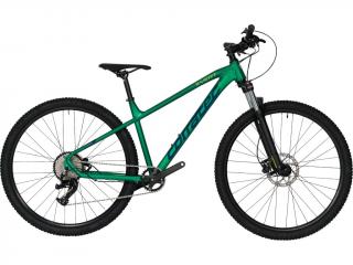 Corratec X-Vert Elite (Zelená) 2025 Velikost rámu: XL, Průměr kol: 29", Výška rámu: (21" = 54cm)