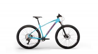 Corratec X-Vert Pro 2024 Velikost rámu: L, Průměr kol: 29", Výška rámu: (19"=49cm)