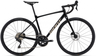 Giant Contend AR 1 Panther 2024 Velikost rámu: ML, Průměr kol: 28" (700C), Výška rámu: (54 cm)