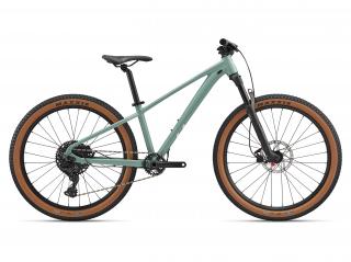 LIV STP 26-Liv Eucalyptus 2025 Velikost rámu: M, Průměr kol: 26"