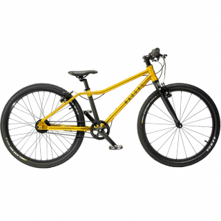 Rascal 24" Sturmey Archer 5s Gold (zlatá)