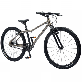 Rascal 24" Sturmey Archer 5s Titan (šedá)