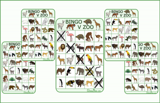 Bingo v zoo