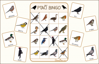 Ptačí bingo