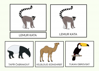 Zvířata světa - Třísložkové karty