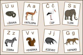 Zvířátková abeceda