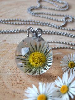 Velký náhrdelník s pravým květem sedmikrásky