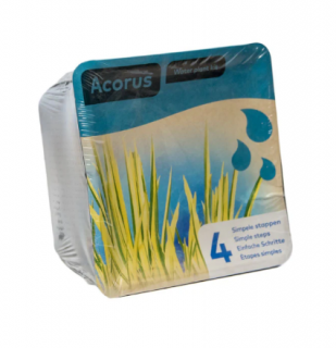 Acorus calamus – blistr 18 cm (Puškvorec obecný)