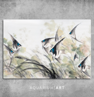 AQUARIUM ART obraz skaláry 90 x 60 cm (P-012-90-60)