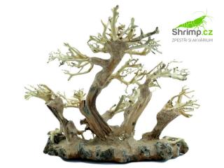 Bonsai Driftwood 15 x 12 x 13 cm