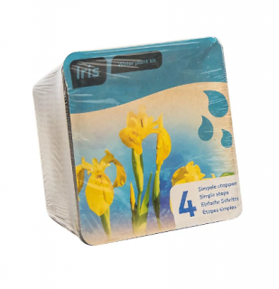 Iris pseudacorus – blistr 18 cm (Kosatec žlutý )