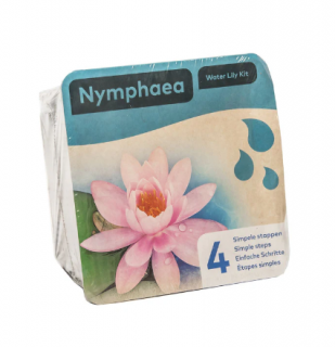Nymphaea ‘Attraction’ – blistr 18 cm (Leknín ‘Attraction’)