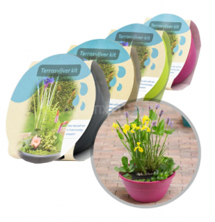Set vodních rostlin na terasu Ø 40 cm (Pontederia, Acorus, Iris) (Set jezírkových rostlin v květináči)