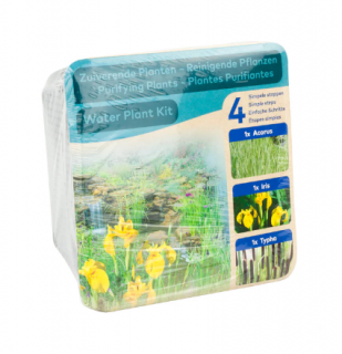 Trio rostlin (Acorus, Iris, Typha) – blistr 18 cm (Kompletní sada vodních rostlin do jezírka)