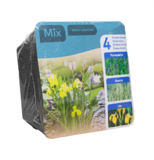 Trio rostlin (Pontederia, Acorus, Iris) – blistr 18 cm (Kompletní sada vodních rostlin do jezírka)