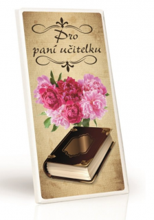 Čokoláda pro paní učitelku 100g mléčná