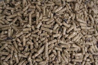 Granule Cerea HOBBY 25 kg