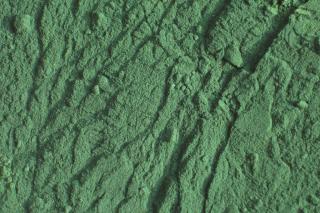 Spirulina - sladkovodní řasa