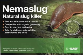 Hlístice proti slimákům Nemaslug 12 milionů hlístic