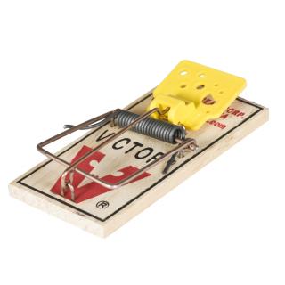 VICTOR Easy set - 2 x dřevěná past na myši s pachem sýra