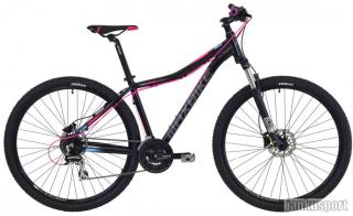 Maxbike Apo Lady 29 černý matný + fialová (Maxbike dámské kolo)