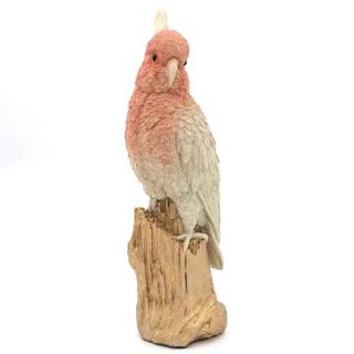 Papoušek Kakadu růžový pokladnička