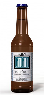 Gingerrr beer Heavy 330 ml -24 ks