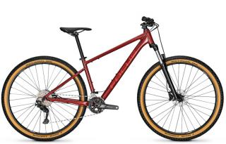 29  horské kolo Focus Whistler 3.7 2022
