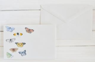 Obálky Motýli