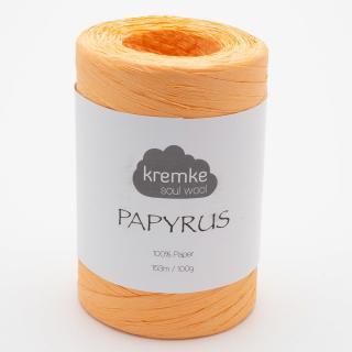 Papírová příze Papyrus Lachs