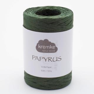 Papírová příze Papyrus Waldgrün