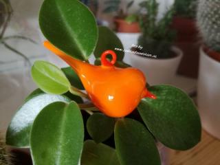 Ptáček skleněný oranžový Velikost: mini - délka 6 cm