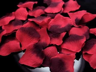 Okvětní lístky růží - červeno-bordó (Látkové okvětní plátky růží)
