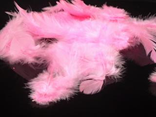 Peříčka barevná - jasně růžová (barevná jemná peříčka - balení 10g)