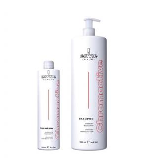 Envie Šampon Chrom Active pro barvené vlasy 1000ml (Envie Shampoo Chrom Active)