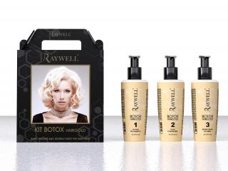 Kit Envie BOTOX 24K Hair Gold (Envie BOTOX Hair 24K)