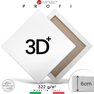 3D + Malířské plátno na rámu PROFI - Různé rozměry (malířské plátna ARTMIE)