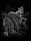 Kreativní set na engraving [rytí] - Koně (3 dílná sada na engraving Royal &amp; Langnickel)