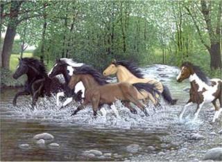 Kreativní set na malování - Běžící koně (sada na malování podle čísel Royal &amp; Langnickel)