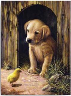 Kreativní set na malování - Štěňátko labradora  (sada na malování podle čísel Royal &amp; Langnickel)